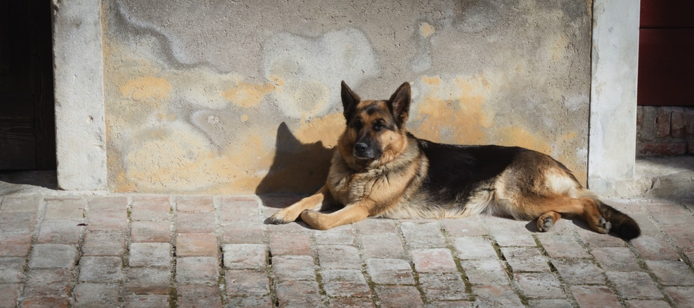 I'm not here just coz I'm beautiful